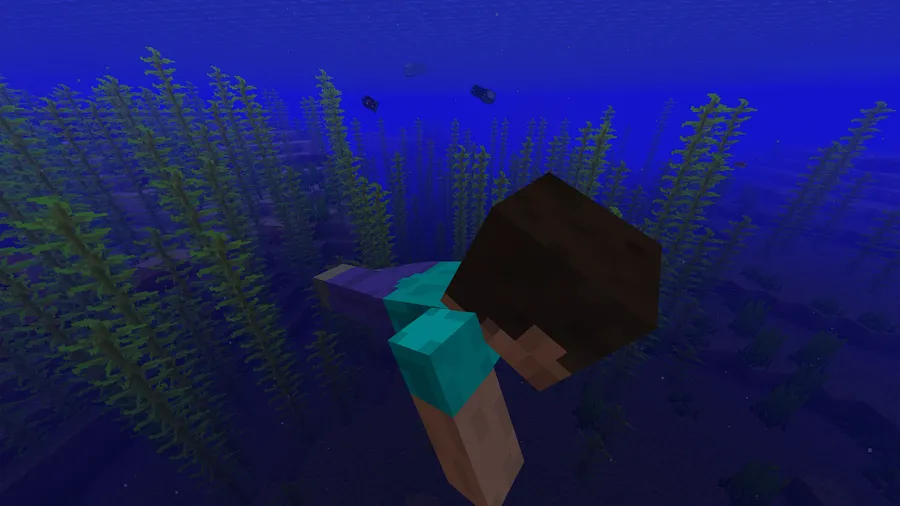 Leawind's Third Person Mod (1.21.11) Screenshot