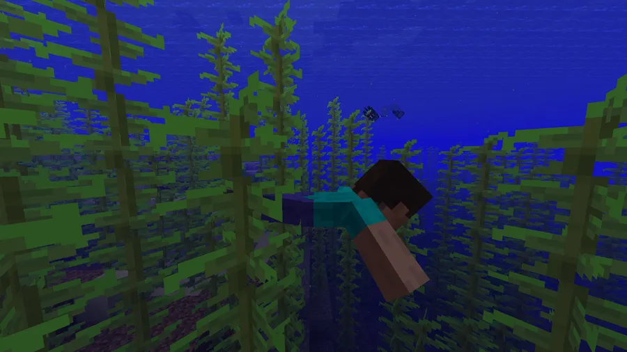 Leawind's Third Person Mod (1.21.11) Screenshot