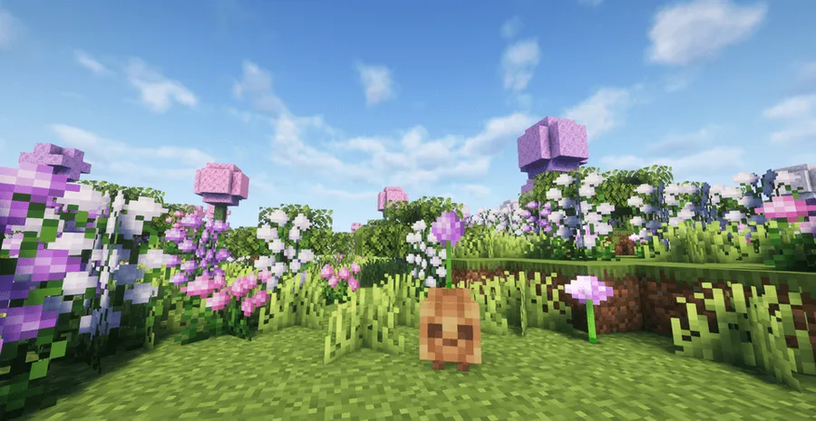 Oh The Biomes We've Gone Mod (1.21.11) Screenshot