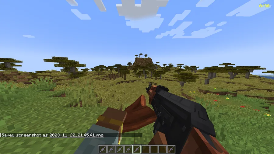 Vic's Point Blank Mod (1.21.11) Screenshot