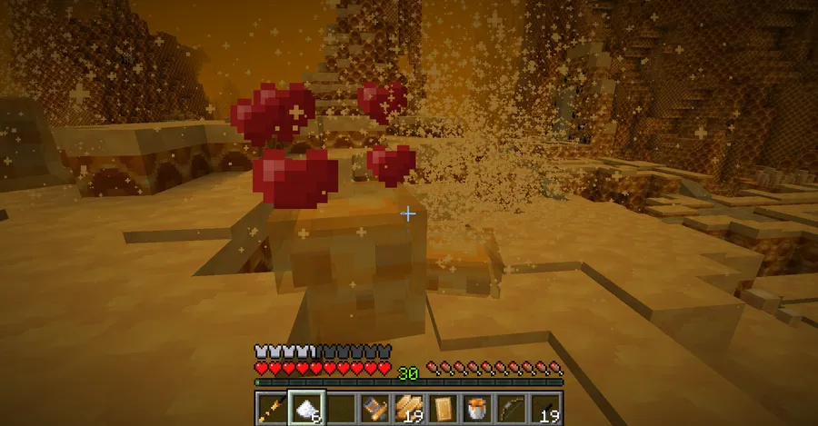 The Bumblezone - Fabric Mod (1.21.1) Screenshot