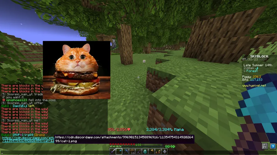 Firmament for Hypixel SkyBlock Mod (1.21.11) Screenshot