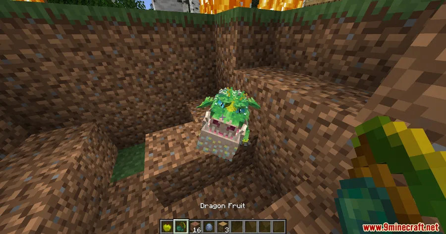 Dragon Feed Mod screenshot 4 showing mod in action