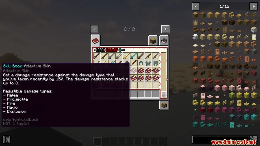 Epic Fight SkillBook Description Mod screenshot 2