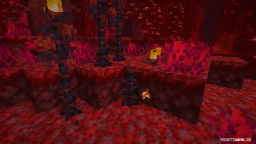 My Nether's Delight Mod screenshot 1 showing mod in action