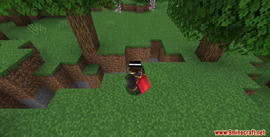 No Double Sneak Mod screenshot 2