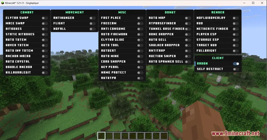 Radon Client Mod screenshot 1 showing mod in action