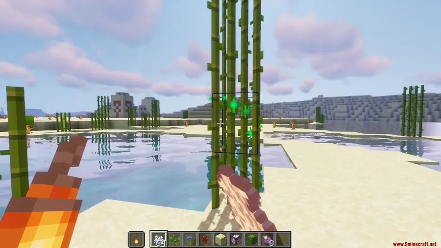 Universal Bone Meal Mod screenshot 1 showing mod in action