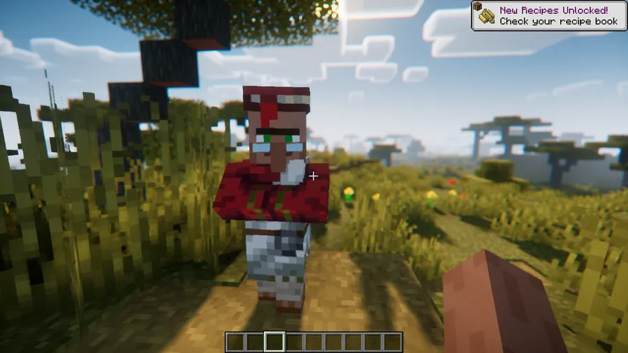 Villager Pickup Mod screenshot 1