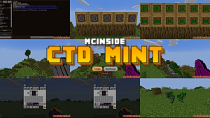 CTD Mint Mod (1.21.11, 1.20.1) – Simple Minecraft Currency System