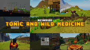 Tonic and Wild Medicine Mod (1.21.1) – Natural Healing Items, Herbs