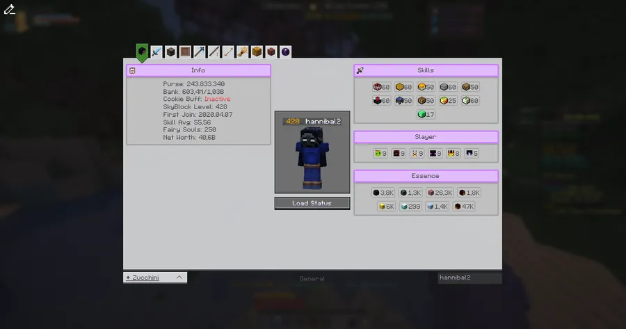 SkyBlock Profile Viewer Mod (26.1.1) Screenshot