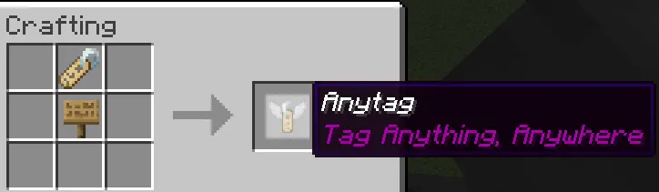 Anytag Mod (1.21) Screenshot