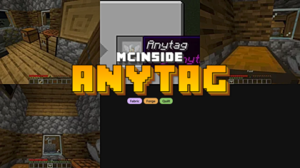Anytag Mod