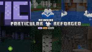 Particular ✨ Reforged Mod (1.21.11) – Hand-Crafted Visual Effects
