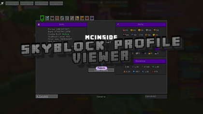 SkyBlock Profile Viewer Mod (26.1.1) - thumbnail